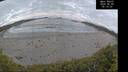 ./images/calvert/beach/20260606/beach20260606_051001M.jpg