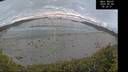./images/calvert/beach/20260606/beach20260606_052001M.jpg