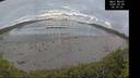 ./images/calvert/beach/20260606/beach20260606_053001M.jpg