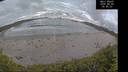 ./images/calvert/beach/20260606/beach20260606_054002M.jpg