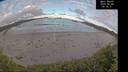 ./images/calvert/beach/20260606/beach20260606_063501M.jpg