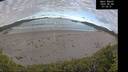 ./images/calvert/beach/20260606/beach20260606_070501M.jpg