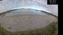 ./images/calvert/beach/20260606/beach20260606_072001M.jpg