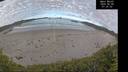 ./images/calvert/beach/20260606/beach20260606_073501M.jpg