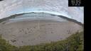 ./images/calvert/beach/20260606/beach20260606_074502M.jpg