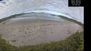 ./images/calvert/beach/20260606/beach20260606_075501M.jpg