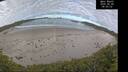 ./images/calvert/beach/20260606/beach20260606_080001M.jpg
