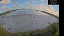 ./images/calvert/beach/20260606/beach20260606_205502M.jpg