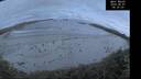 ./images/calvert/beach/20260607/beach20260607_043001M.jpg