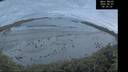 ./images/calvert/beach/20260607/beach20260607_043501M.jpg