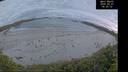 ./images/calvert/beach/20260607/beach20260607_044501M.jpg