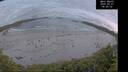 ./images/calvert/beach/20260607/beach20260607_045001M.jpg