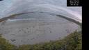 ./images/calvert/beach/20260607/beach20260607_045501M.jpg