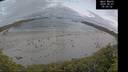 ./images/calvert/beach/20260607/beach20260607_050501M.jpg