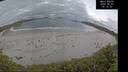./images/calvert/beach/20260607/beach20260607_051501M.jpg