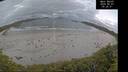 ./images/calvert/beach/20260607/beach20260607_052001M.jpg