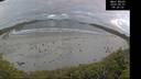 ./images/calvert/beach/20260607/beach20260607_052502M.jpg