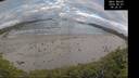 ./images/calvert/beach/20260607/beach20260607_062501M.jpg