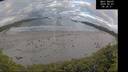 ./images/calvert/beach/20260607/beach20260607_063001M.jpg