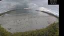 ./images/calvert/beach/20260607/beach20260607_065002M.jpg