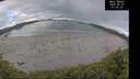 ./images/calvert/beach/20260607/beach20260607_070501M.jpg