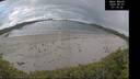 ./images/calvert/beach/20260607/beach20260607_071001M.jpg