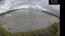 ./images/calvert/beach/20260607/beach20260607_072502M.jpg