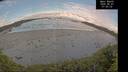 ./images/calvert/beach/20260607/beach20260607_075501M.jpg