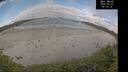 ./images/calvert/beach/20260607/beach20260607_083501M.jpg