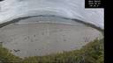 ./images/calvert/beach/20260607/beach20260607_093501M.jpg