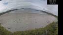 ./images/calvert/beach/20260607/beach20260607_094002M.jpg