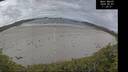 ./images/calvert/beach/20260607/beach20260607_112001M.jpg