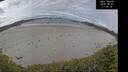 ./images/calvert/beach/20260607/beach20260607_114501M.jpg