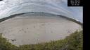 ./images/calvert/beach/20260607/beach20260607_121501M.jpg