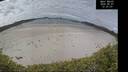 ./images/calvert/beach/20260607/beach20260607_123002M.jpg