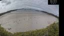 ./images/calvert/beach/20260607/beach20260607_123501M.jpg