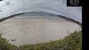 ./images/calvert/beach/20260607/beach20260607_124001M.jpg