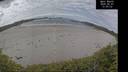 ./images/calvert/beach/20260607/beach20260607_130001M.jpg