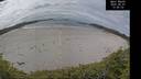 ./images/calvert/beach/20260607/beach20260607_134501M.jpg