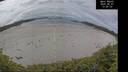 ./images/calvert/beach/20260607/beach20260607_135001M.jpg