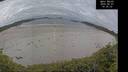 ./images/calvert/beach/20260607/beach20260607_143501M.jpg