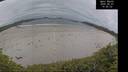 ./images/calvert/beach/20260607/beach20260607_145501M.jpg