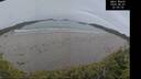 ./images/calvert/beach/20260607/beach20260607_220501M.jpg