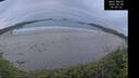 ./images/calvert/beach/20260608/beach20260608_044501M.jpg