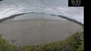 ./images/calvert/beach/20260608/beach20260608_102001M.jpg