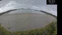 ./images/calvert/beach/20260608/beach20260608_102501M.jpg