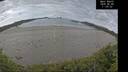./images/calvert/beach/20260608/beach20260608_110001M.jpg