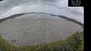./images/calvert/beach/20260608/beach20260608_135502M.jpg