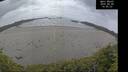 ./images/calvert/beach/20260608/beach20260608_145001M.jpg