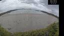 ./images/calvert/beach/20260608/beach20260608_161501M.jpg